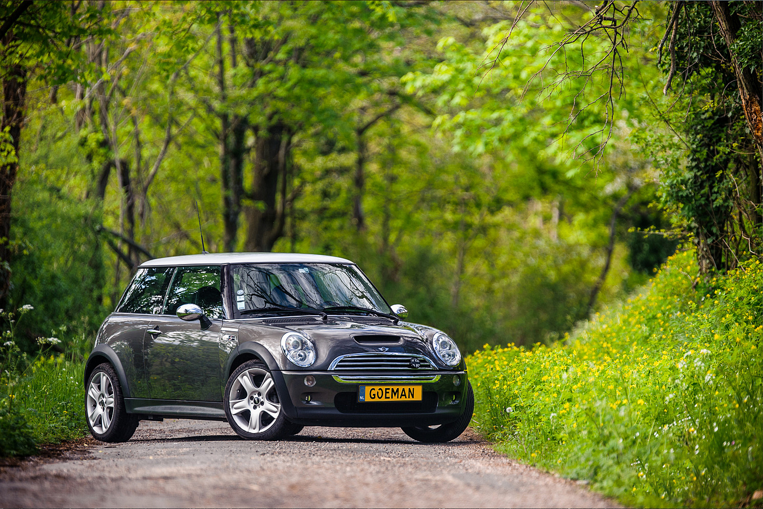 MINI Onderhoud Carteam Paul Goeman Autoservice